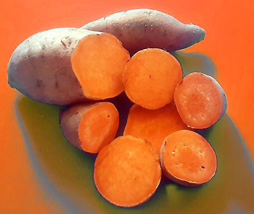 Endlich Süßkartoffeln – eine leckere Alternative